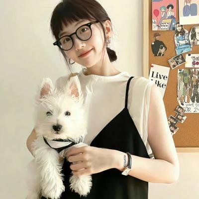 戆直贼佬俏佳人